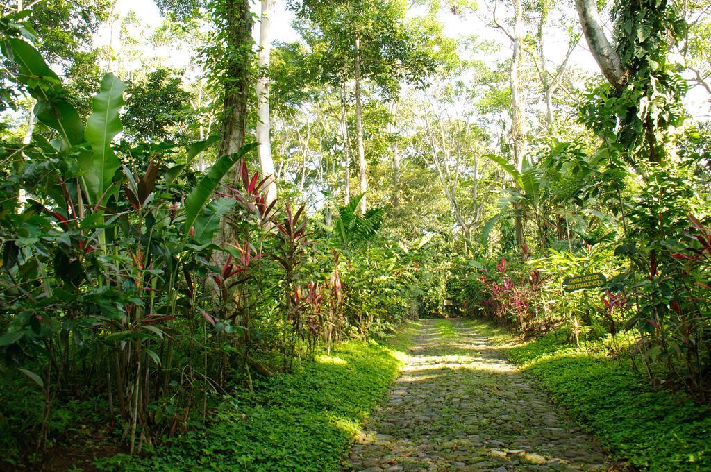 Takalik Maya Lodge El Asintal Bagian luar foto
