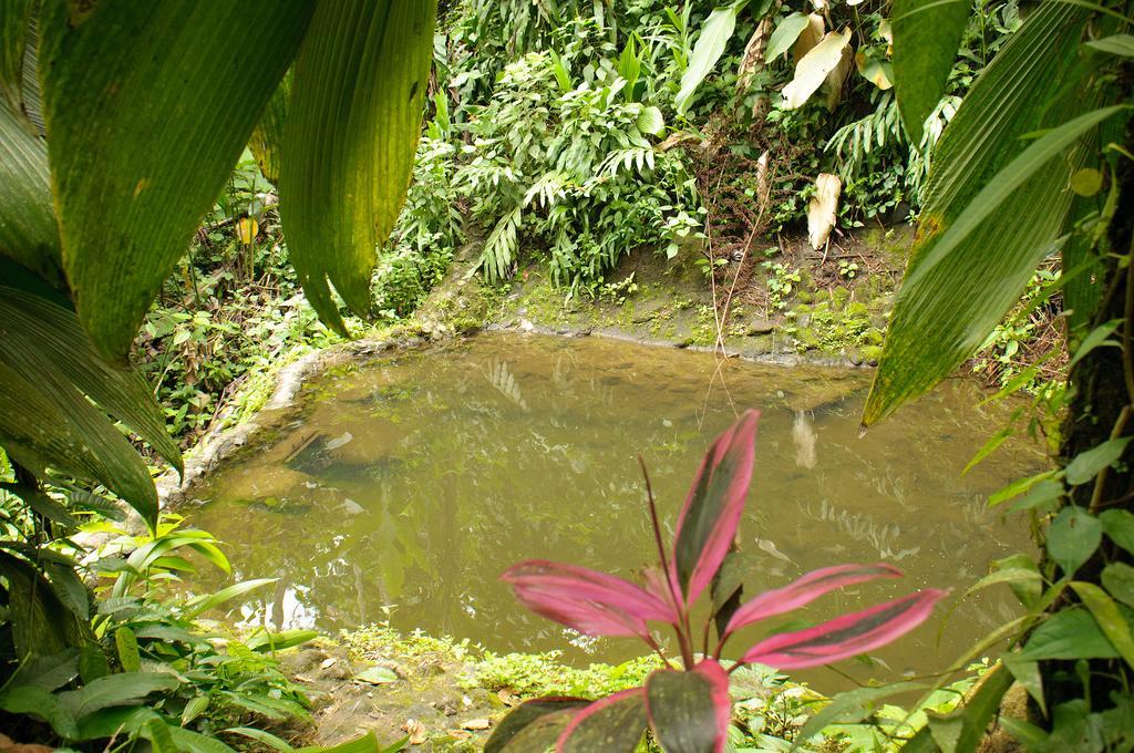 Takalik Maya Lodge El Asintal Bagian luar foto